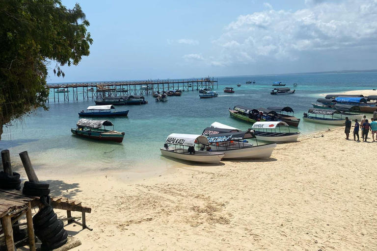 Zanzibar : excursion d'une journée à l'île-prison et au marché alimentaire nocturne (visite nocturne)Visite privée sans prise en charge à l'hôtel et retour à l'hôtel