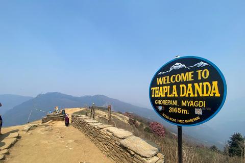 From Pokhara: 3 Day Short Poon Hill with Thapla Danda Trek