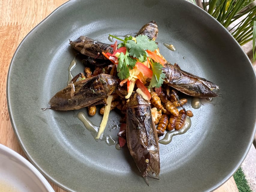 Creative Insect-Based Dinner | GetYourGuide