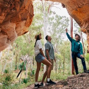 Roma: Lost World Carnarvons and Wallaroo Day Tour