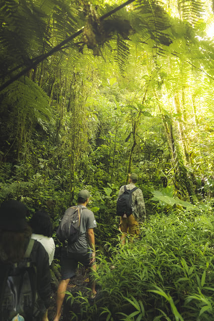 Jungle Trek, Multiday hike near Medellin