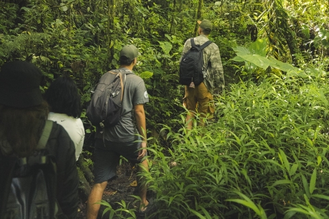 From Medellin: Guided Hiking Tour in Nature