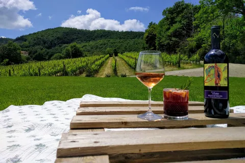 MONTEPULCIANO - PIC NIC CON IL VINO! CIRCONDATO DA VIGNETI