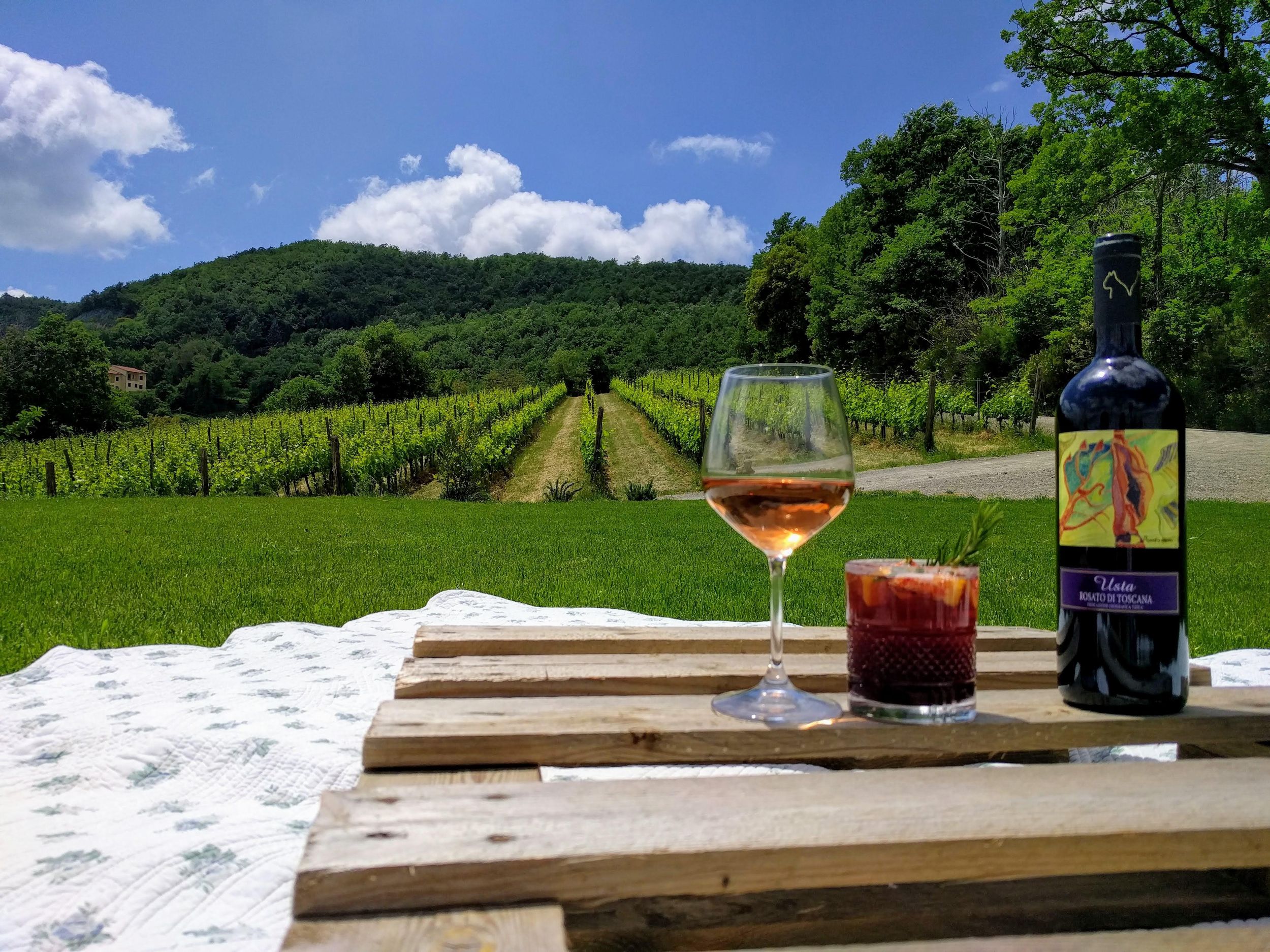 Picknick mit Wein, Toskana im Korb am Weinberg