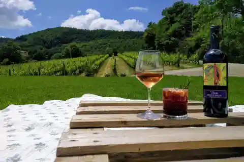 MONTEPULCIANO - PIC NIC COM VINHO! CERCADO POR VINHEDOS