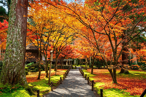 Kyoto: Arashiyama, Sanzen-in & Kifune Shrine Day Trip Departure from Osaka (Basic Package)