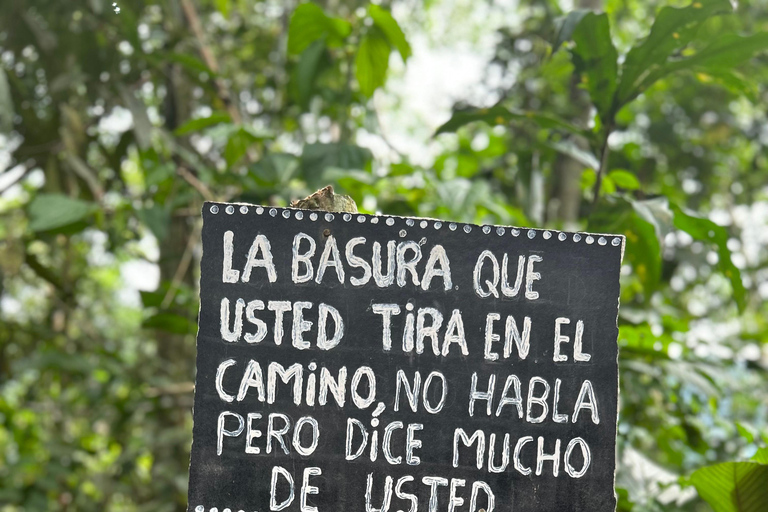 Manu&#039;s Park Odyssey - Embárcate en una expedición de 4 días por la selva