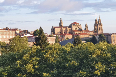 Vigo: Santiago de Compostela Guided Tour with Cathedral