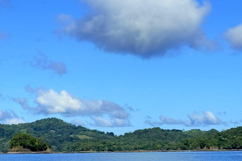 Gulf of Chiriqui Island Hopping and Raw Experience