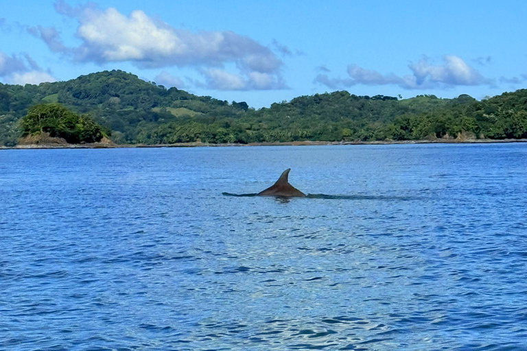 Gulf of Chiriqui Island Hopping and Raw Experience