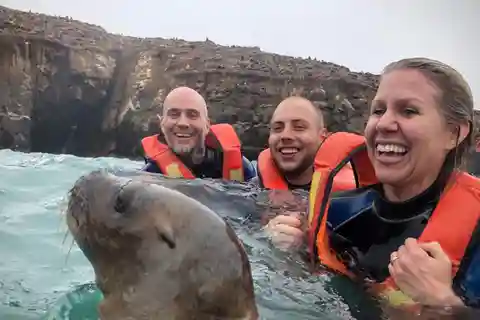Da Lima: Escursione Isole Palomino - Baia di Callao - Mezza giornata
