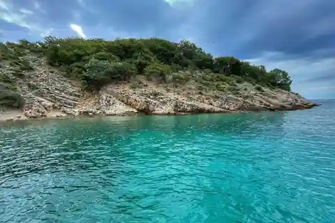 5,5h Plavnik Island: Swim & Snorkel with Capt. Bobo(Private)