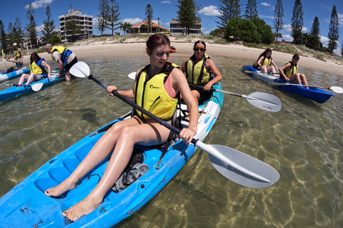 Gold Coast: Surfers Paradise Kayak Tour — Day or Sunset Sunset: Surfers Paradise Kayak & Wildlife Tour