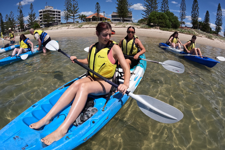 Gold Coast: Surfers Paradise Kayak Tour — Day or Sunset Sunset: Surfers Paradise Kayak & Wildlife Tour