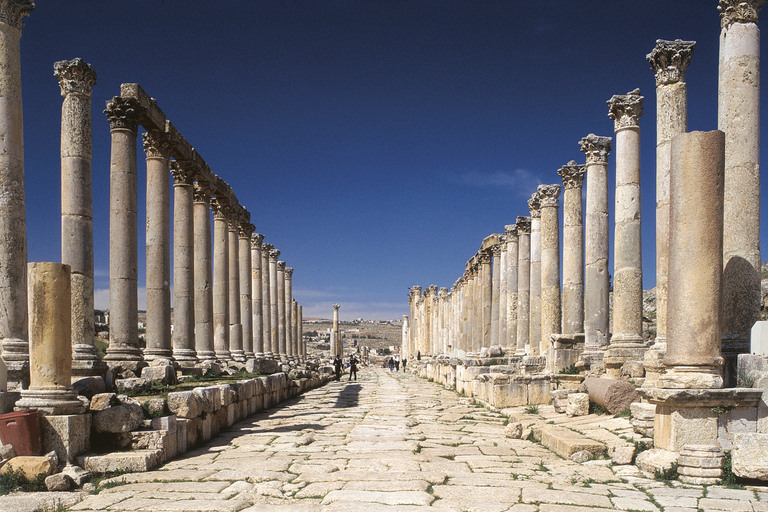 Escursione a Jerash e al Castello di AjlounEscursione di un giorno a Jerash e al Castello di Ajloun