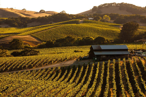 San Francisco: 5-Day California Coast, Vineyards & Wine Tour Double Occupancy Room