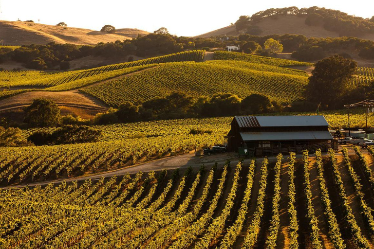 San Francisco: 5-Day California Coast, Vineyards & Wine Tour Double Occupancy Room
