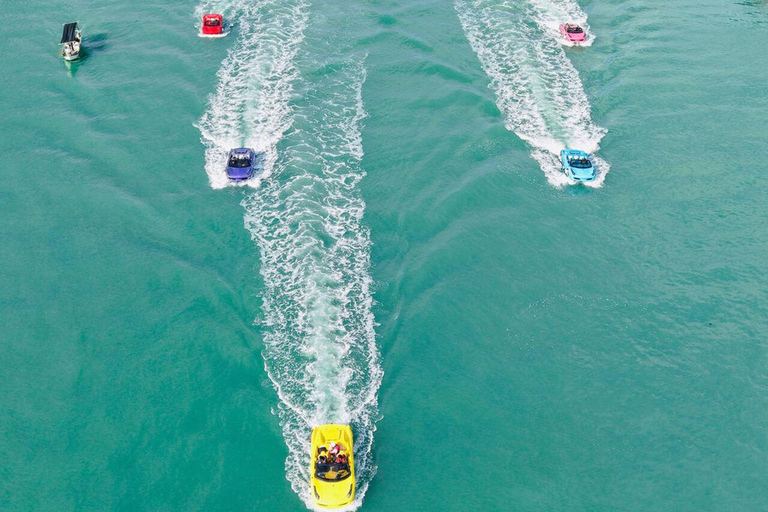 Langkawi: Tuba Mangrove Jet Car Tour with Beach Stop