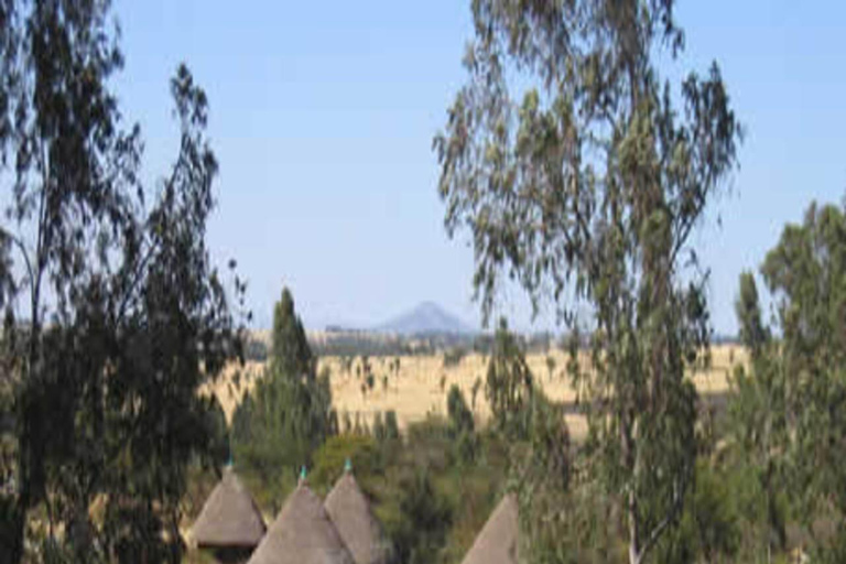 Melka Kunture Archaeological Tour & Coffee