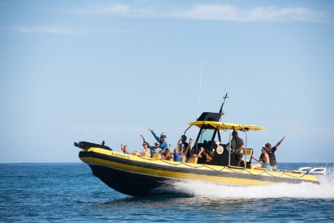 Hale'iwa : location de bateau privé
