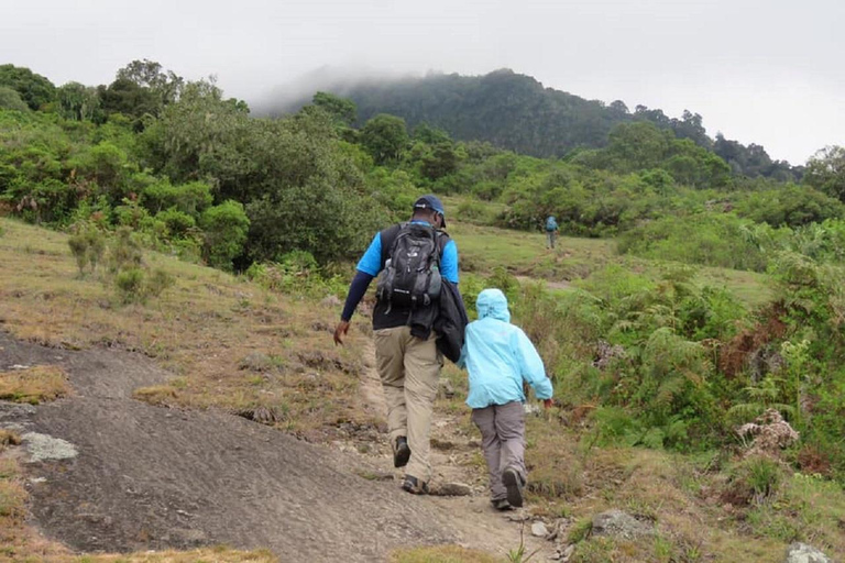 Nairobi: Namanga Hills Ol Donyo Orok Guided Hike Day Trip
