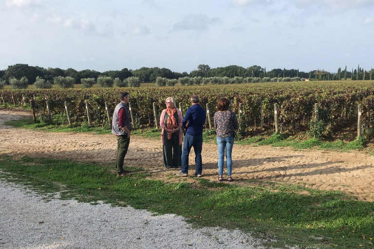 Private Pisa & Lucca Tour from Florence