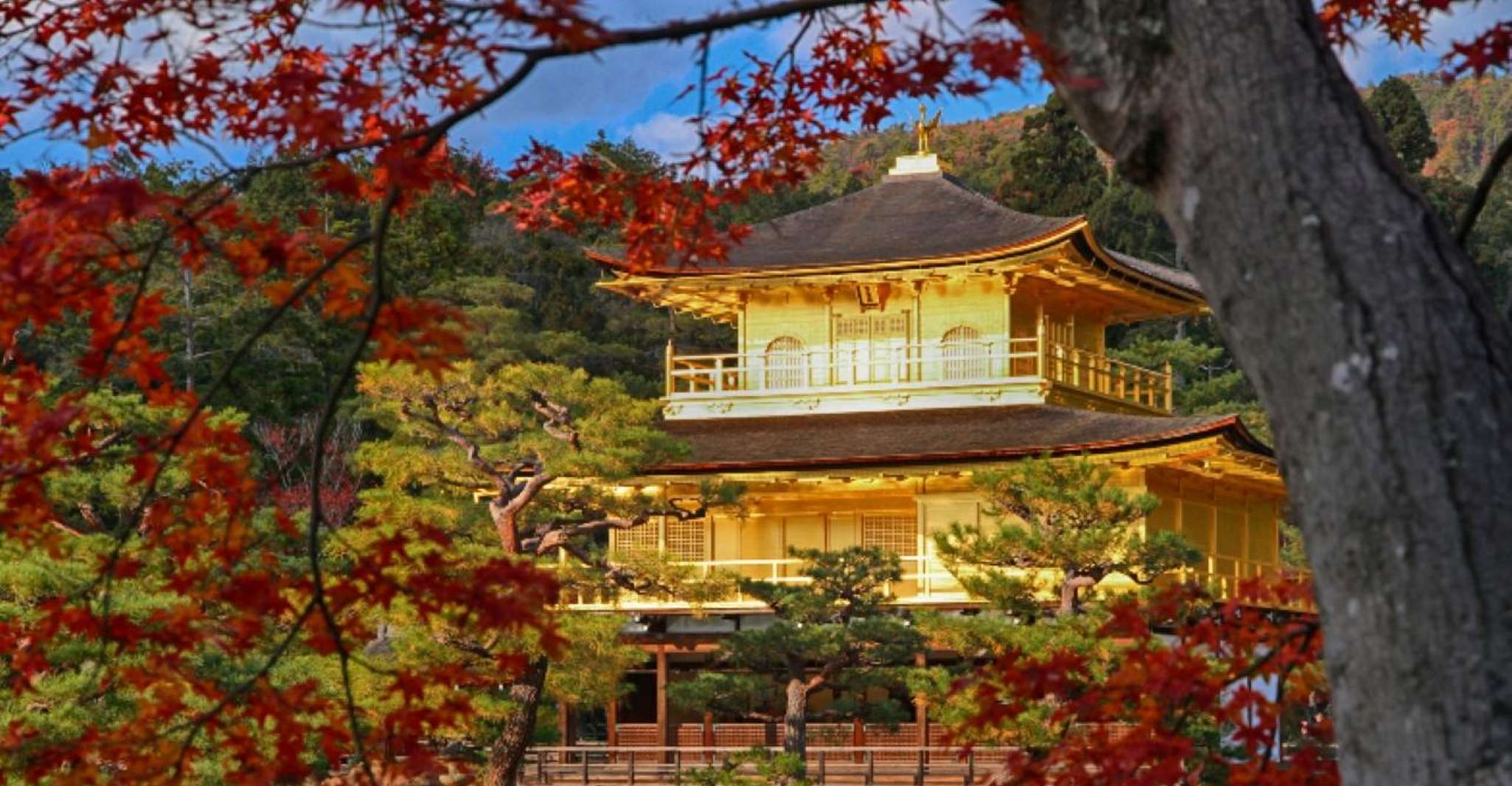 From Osaka/Kyoto: Kinkakuji, Arashiyama, FushimiInari, Nara photo 8