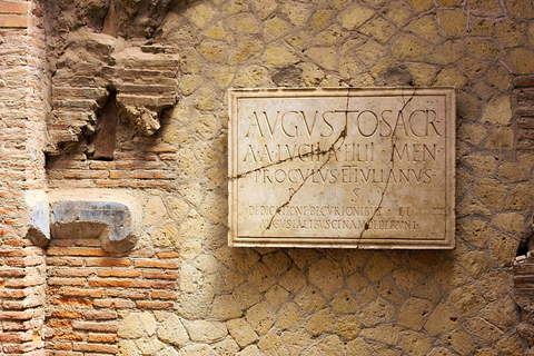 Excursies aan wal: Rondleiding door de ruïnes van Pompeii vanuit NapelsKleine groep FRANS - 13:00