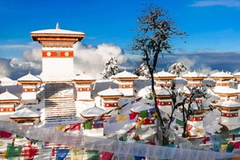 Bhutan's Splendors : Tour of Thimphu, Punakha and Paro