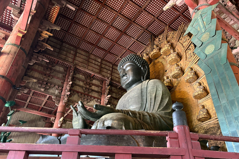 Nara: Guided Tour with Furoshiki Experience and Lunch 5.5h WITH Furoshiki Experience and Lunch