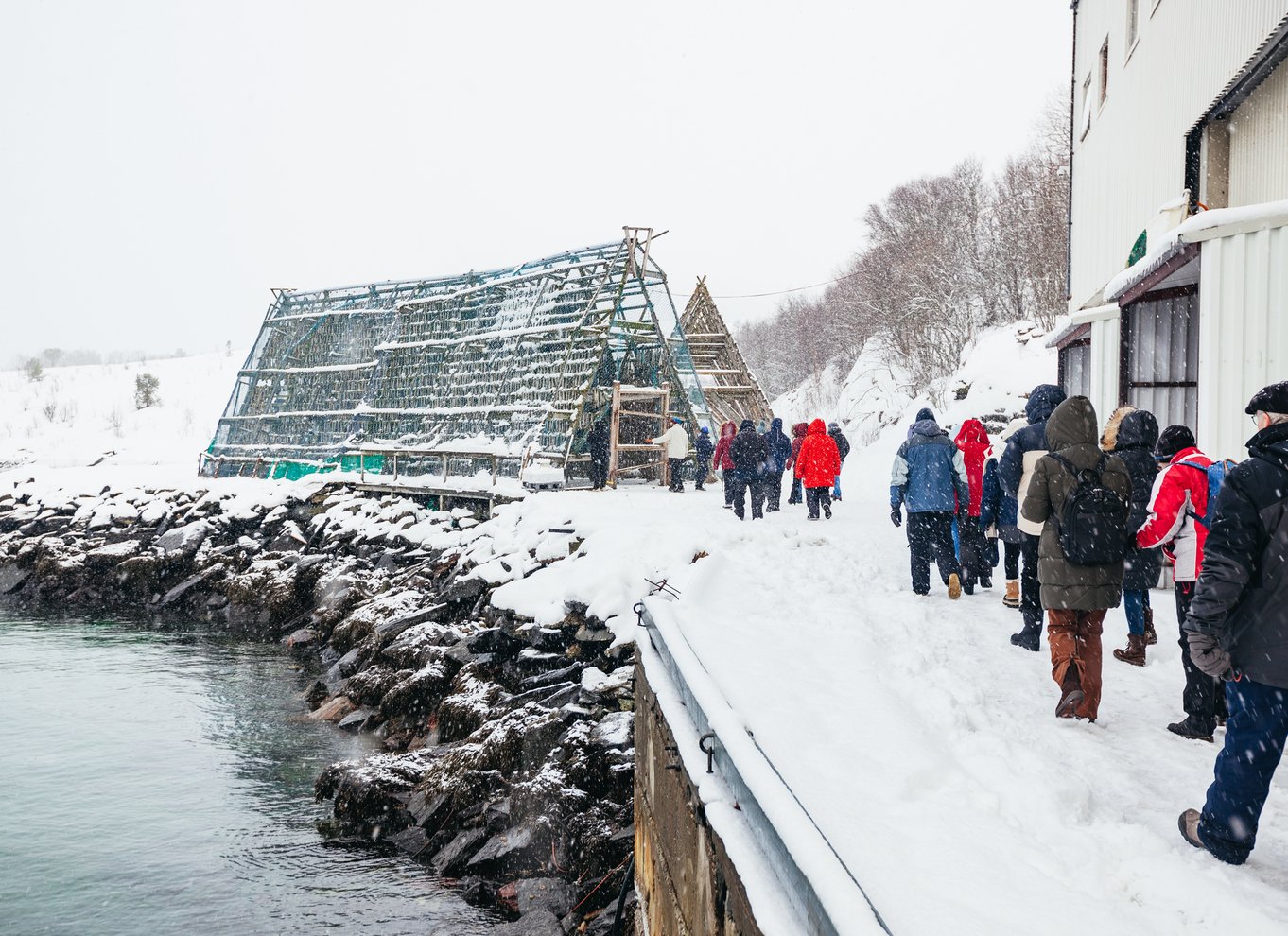 Tromsø: Arktisk fjordkrydstogt med hybridelektrisk katamaran