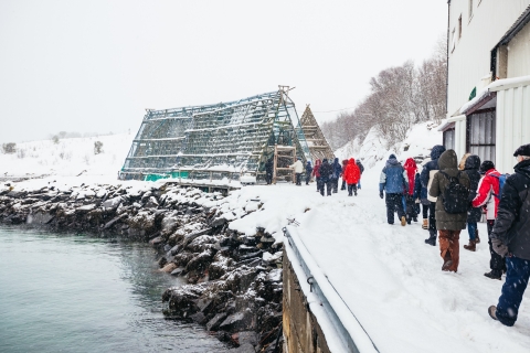 Tromsø: Arktische Fjord-Bootsfahrt mit Elektro-Katamaran