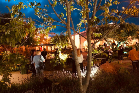 Cambrils: Flamenco Show with a Glass of Cava