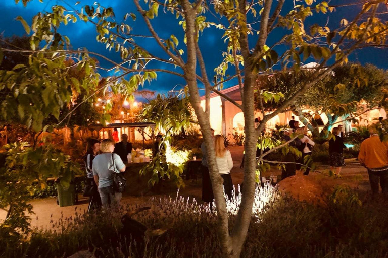 Cambrils: Flamenco Show with a Glass of Cava