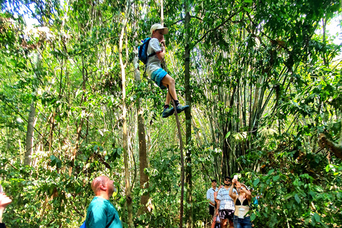 De Krabi : Excursão ao Lago Khao Sok em viagem de 1 dia