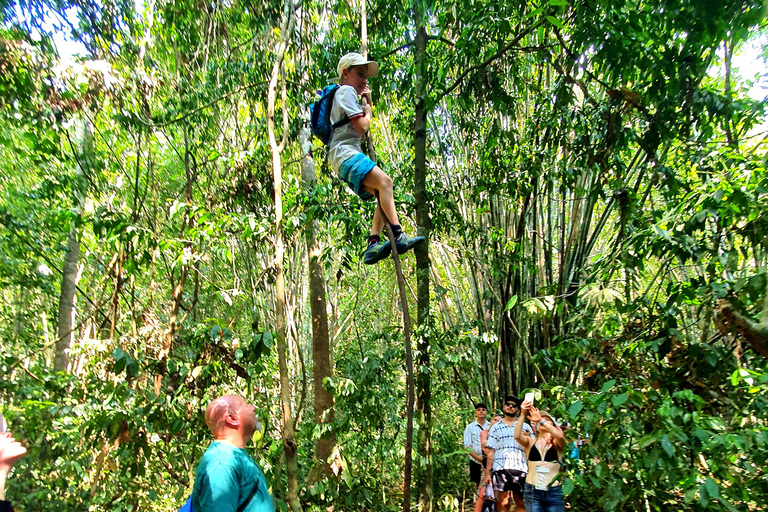 Från Krabi : Khao Sok Lake Tour i dagsutflykt