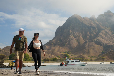 Labuan Bajo: Full-Day Komodo Speedboat Tour with Snorkeling