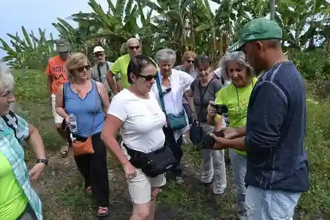 Viagem de um dia excursão à ilha do Fogo saindo de São Filipe