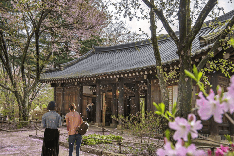 Seoul: Samaksan Cable Car & Nami with Alpaca World/Railbike Alpaca Group Tour, meet at Myeongdong