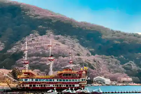Tokyo : Hakone Onsen Nature & Art Lake Ashi private day tour