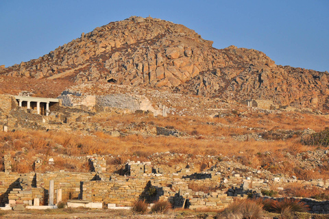 Mykonos : croisière à terre à Delos et Rhenia avec fruits et collationsMykonos : croisière vers Délos et Rhenia avec fruits et collations