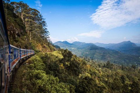 Kandy To Nanuoya Drop Tour & Morning Ella Train Journey Kandy To Nanuoya Drop Tour & Morning Ella Train Journey Car*