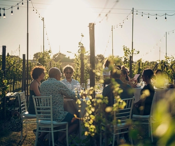 Chianti: Tuscan Vineyard Dinner with Wine Tasting