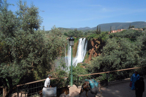 Marrakesh: Ouzoud Falls &amp; Mountain Guided Hike &amp; Boat Ride