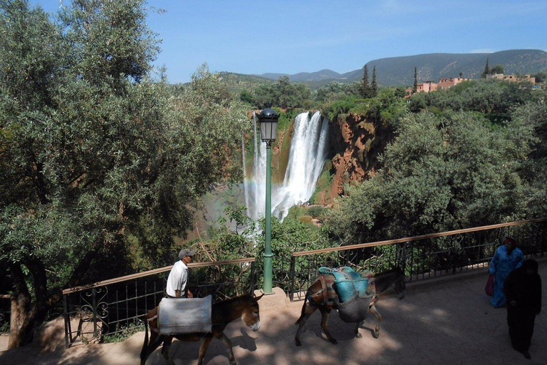 Marrakesh: Ouzoud Falls &amp; Mountain Guided Hike &amp; Boat Ride