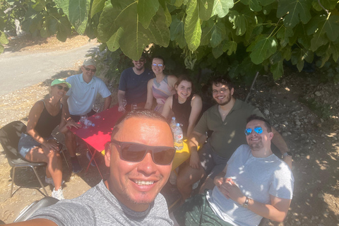 Small Group Guided E-Bike Tour in Nice’s Organic Vineyard