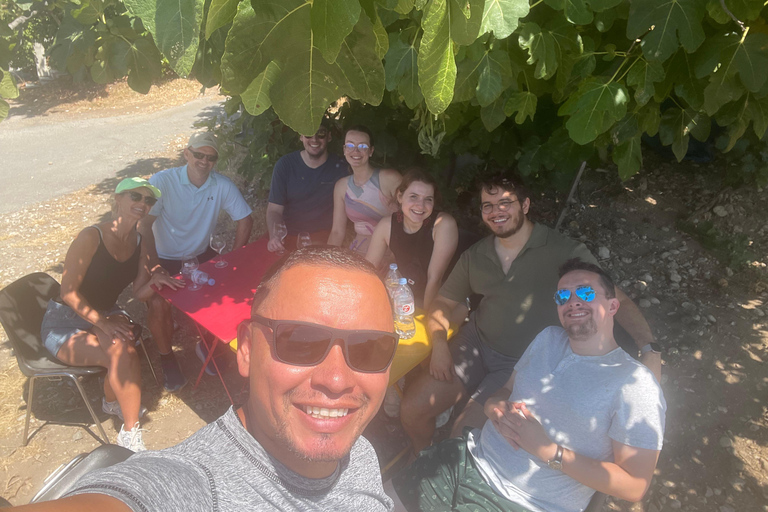 Small Group Guided E-Bike Tour in Nice’s Organic Vineyard