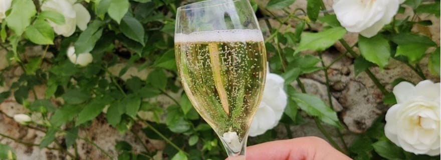 Au départ de Paris : Excursion d'une journée au champagne avec 7 dégustations et déjeuner
