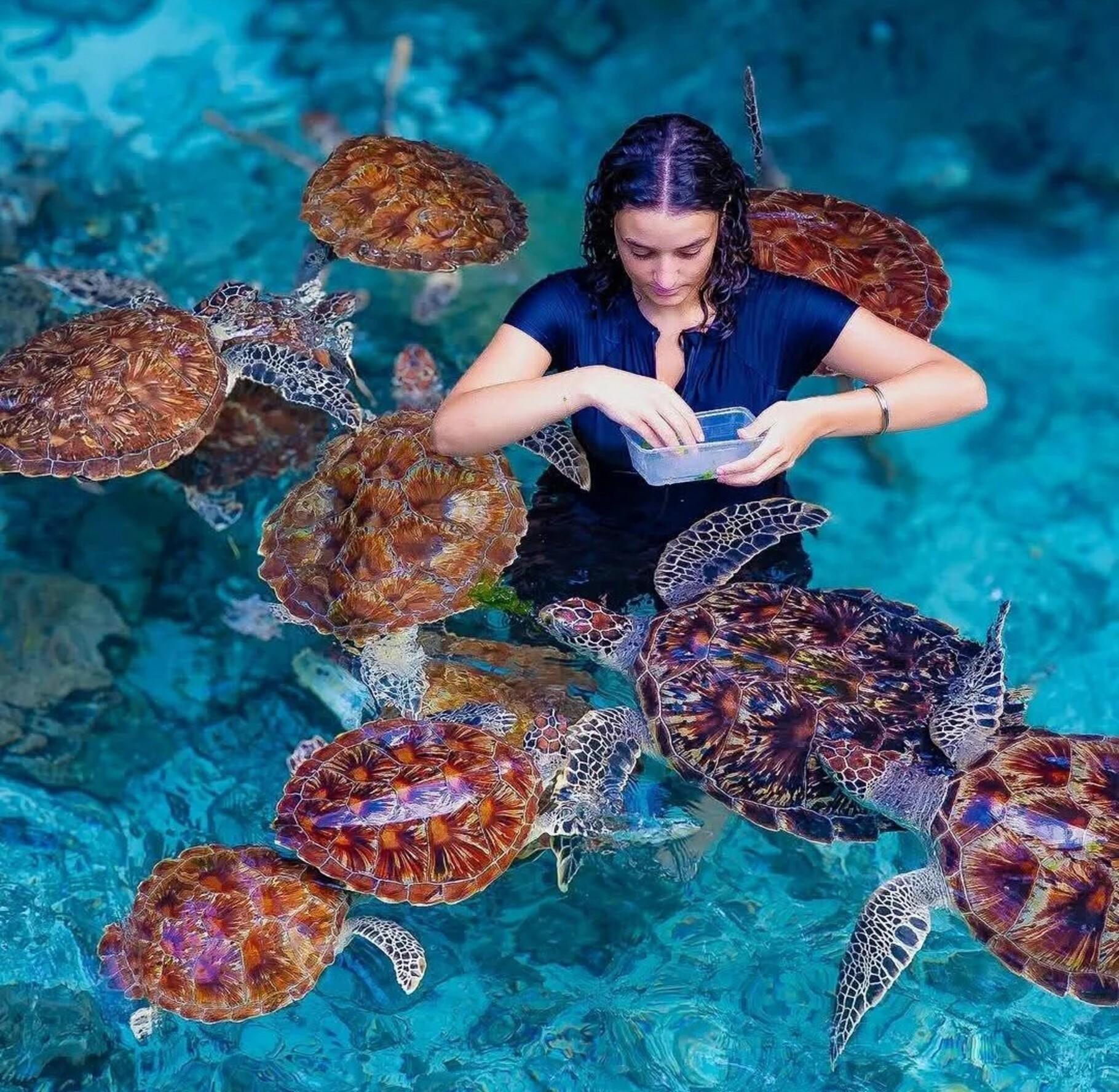 Salam-Höhle Sansibar: Schwimmen mit Schildkröten + Eintrittsgebühr