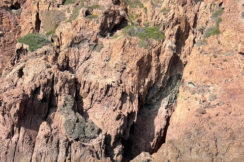 Scandola, Piana & Girolata